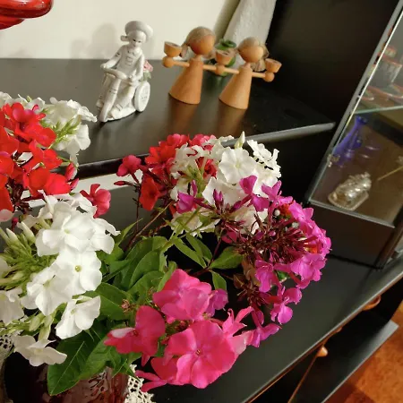 Lovely Holiday Home With Terrace, Garden, Awning, Heating Elbingerode (Saxony-Anhalt)